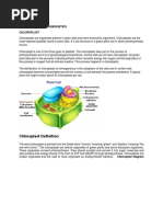 Chloroplast Labelled A Level Diagram | PDF | Chloroplast | Cell (Biology)