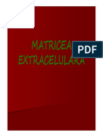 Curs Ro 13 PDF