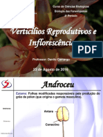 Curso Biologia Fanerógamas: Inflorescências