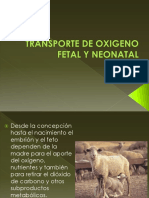 Transporte Oxígeno A Nivel Fetal Clase 14