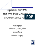 06 - Sistema Multizonal, BJ Services