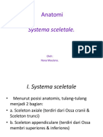 Anatomi System Scletal