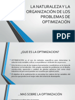 La Naturaleza y La Organización de Los Problemas de Optimizacion