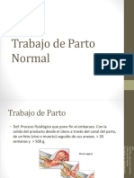 20120119 Trabajo de Parto Normal Corregido