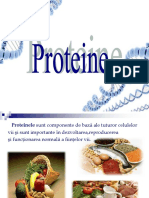 Grupa 3 - Proteinele