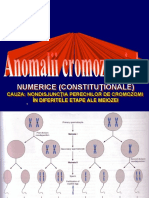 Anomalii Cromozomiale Numerice