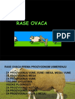 9 Rase Ovaca, PDF