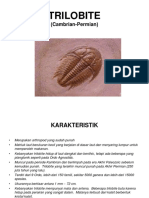 Kelas Trilobite