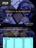 Download Biofisica_da_Respiracao by Isis Bugia SN36970868 doc pdf