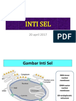 Inti Sel 2017