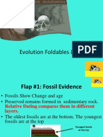evolution foldable