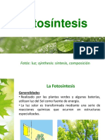 fotosIntesis - copia.pdf