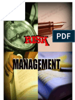 36250086 Risk Management