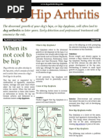 Download Dog Hip Arthritis PDF by dogarthritisdoc1 SN36973556 doc pdf