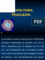 Envoltura Nuclear