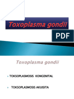 Toxoplasma Gondii fix.pptx