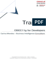 Treinamento Obiee para Desenvolvedores Carina Mendes Business Intelligence Consultant Undefined