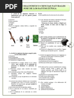 Prueba Diagnostica Grado 6