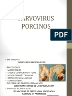 339512104.PARVOVIRUS PORCINOS.pptx