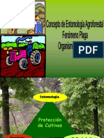Concepto Etimologia PDF
