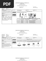 Kumpulan Soal Biologi Sma Smk