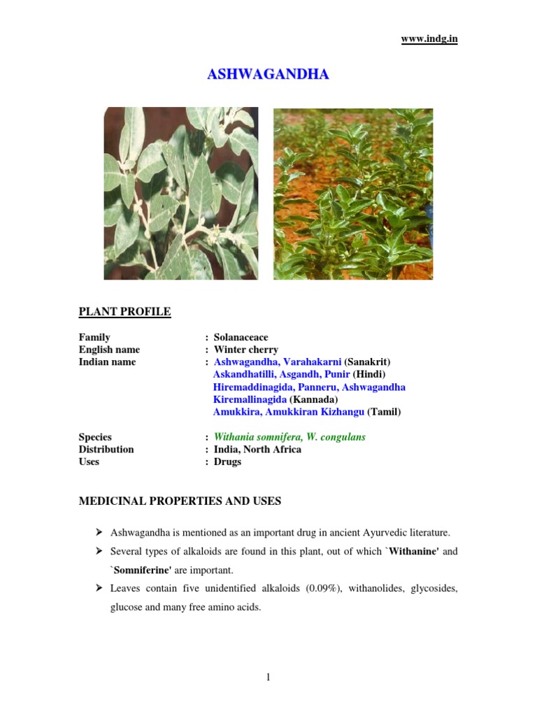 Ashwagandha Pdf Sowing Seed