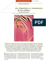 S300 - Es Cefaleas Elsevier PDF