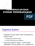 Pengenalan Dan Fungsi Penghadaman