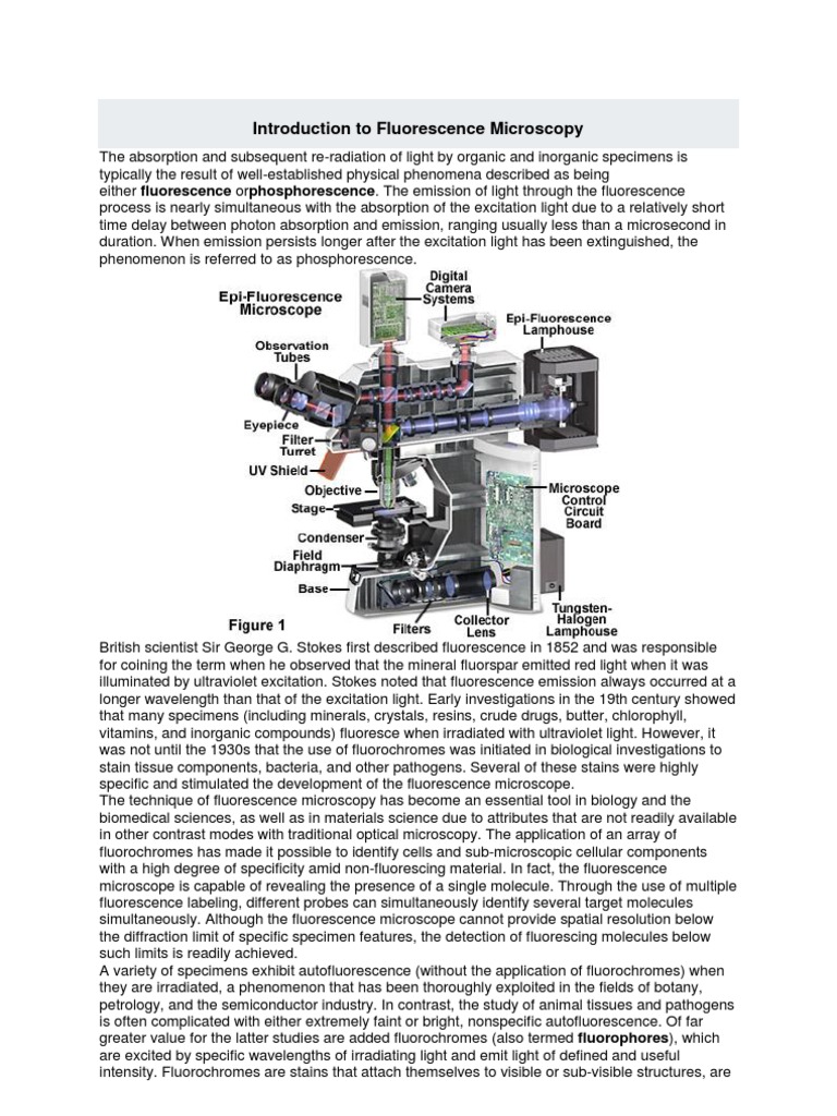 Introduction To Fluorescence Micros | PDF | Fluorescence Microscope ...