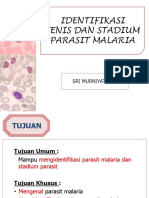 Identifikasi Jenis Dan Stadium Parasit