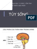 Tuy Song 2013