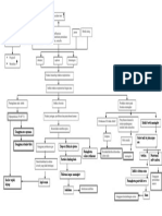 Patofis Pneumonia