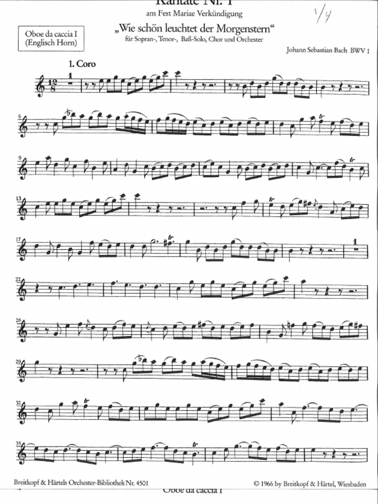 BWV 1 Oboe Da Caccia 1 PDF