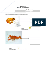 Act. Sheet 22 Phylum Arthropoda