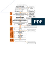 Proceso Común Penal