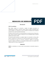 206.A REMOCION DE DERRUMBES.doc