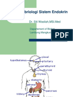 Embriologi Sistem Endokrin Dr Wasilah