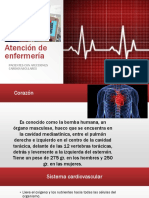 Sistema Cardiovascular