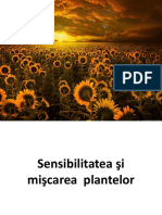 Miscarea Si Sensibilitatea Plantelor 