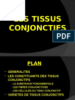 Les Tissus Conjonctifs 