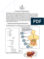 7c2b0 Sistema Digestivo