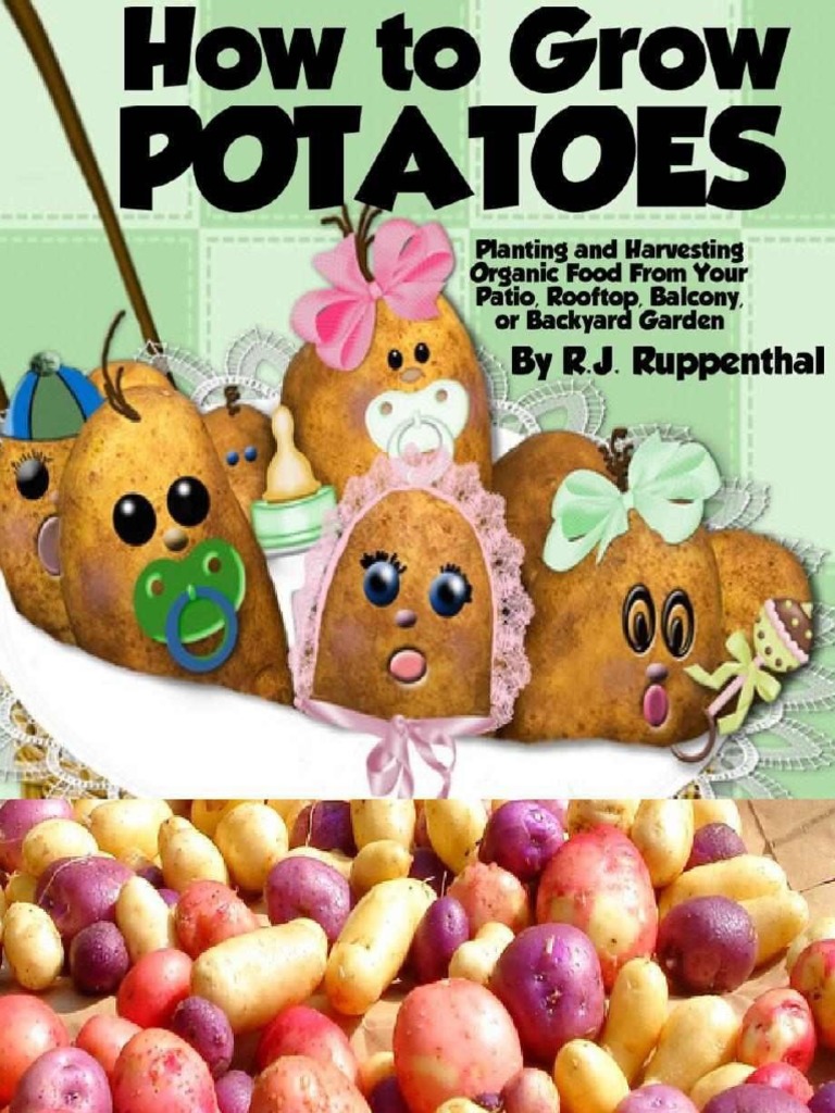 How To Grow Potatoes - Planting and Harvesting PDF | PDF | Potato ...