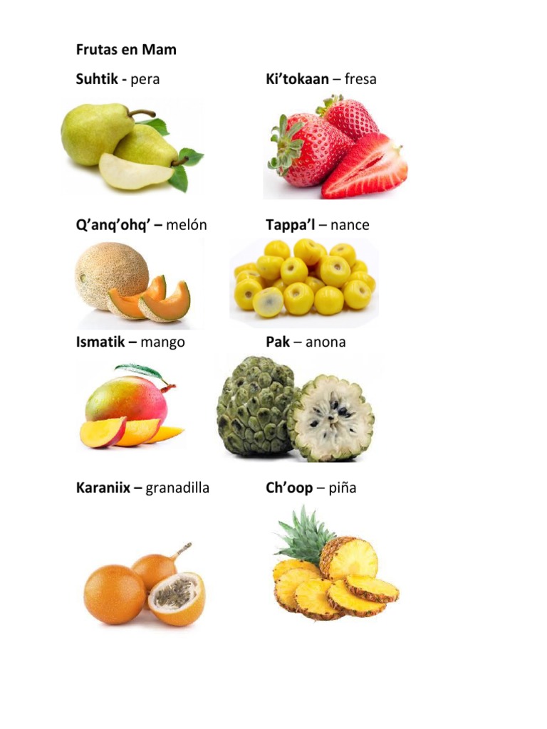 El Aguacate Es Fruta O Verdura Wikipedia