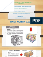 Rne Norma E.020