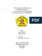 LPJ Diabetes Mellitus Genengan