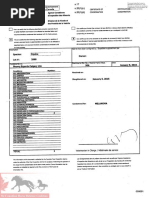 Equine Red Meat Condemnation Report by ATI