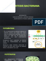 Fotosintesis Bacteriana