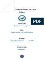 Evaluacion de La Inteligencia Trabajo Final