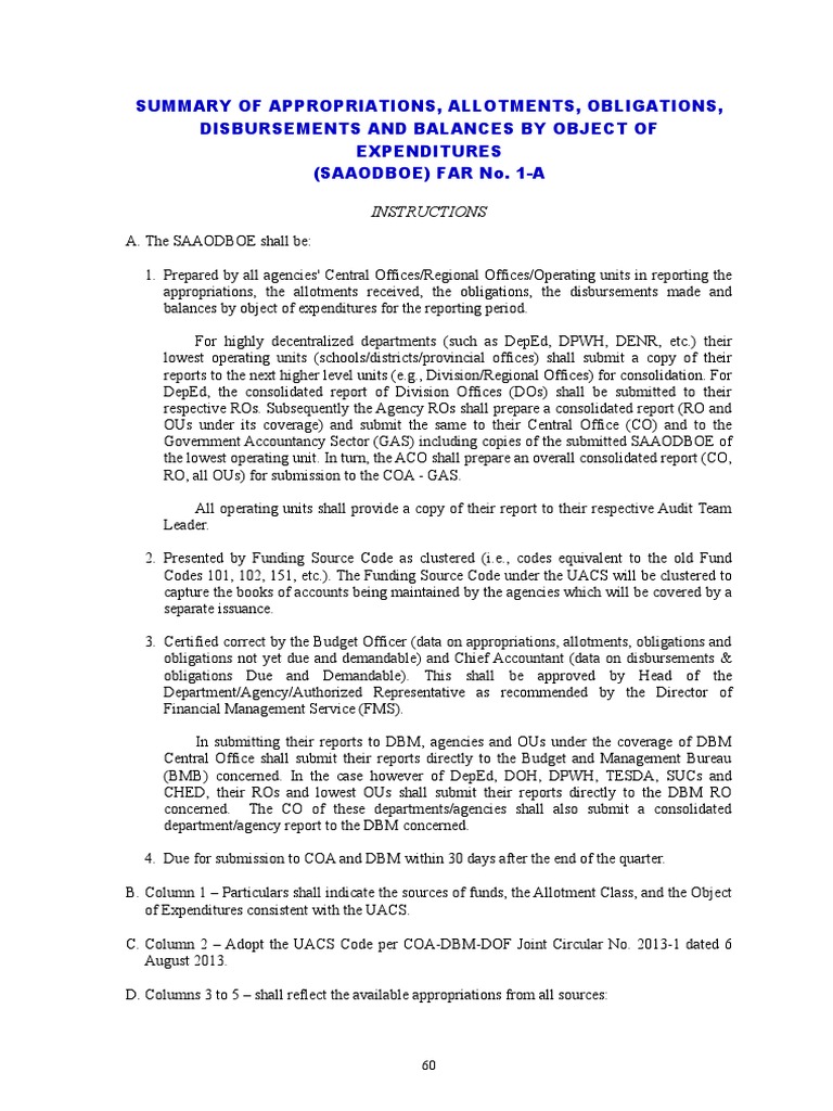 SAAODBOE Reporting Guidelines | PDF | Economies | Government