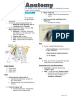 2.06 Axillary Region - Landmarks, Boundaries, Proximal Upper Limb - Circulation